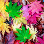 WhatsApp Image 2022-04-13 at 18 (4)